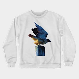 Red-tailed Hawk Crewneck Sweatshirt